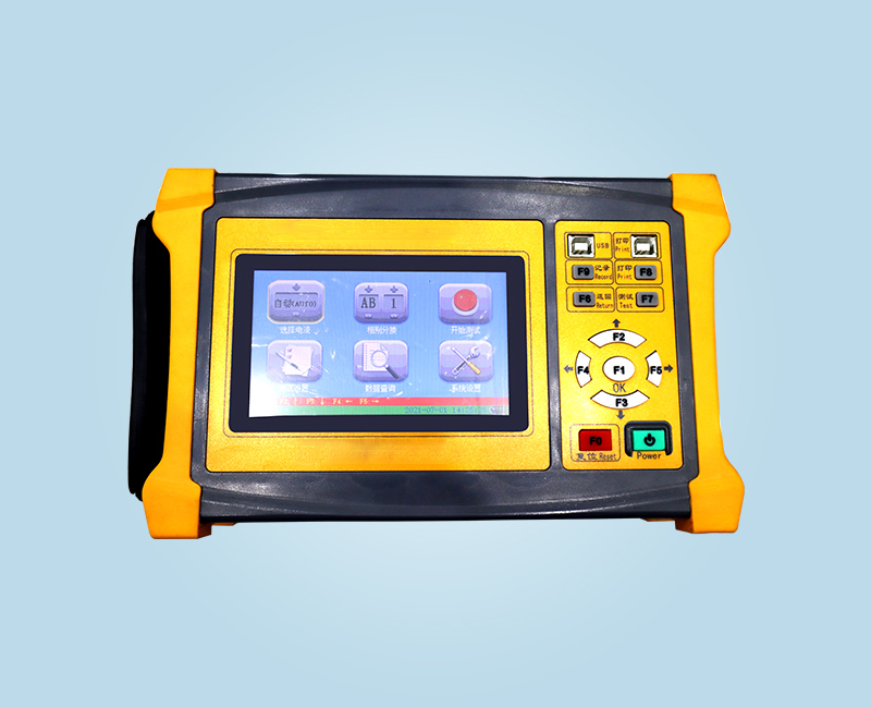 WXZRS-10A  手持直流電阻測(cè)試儀